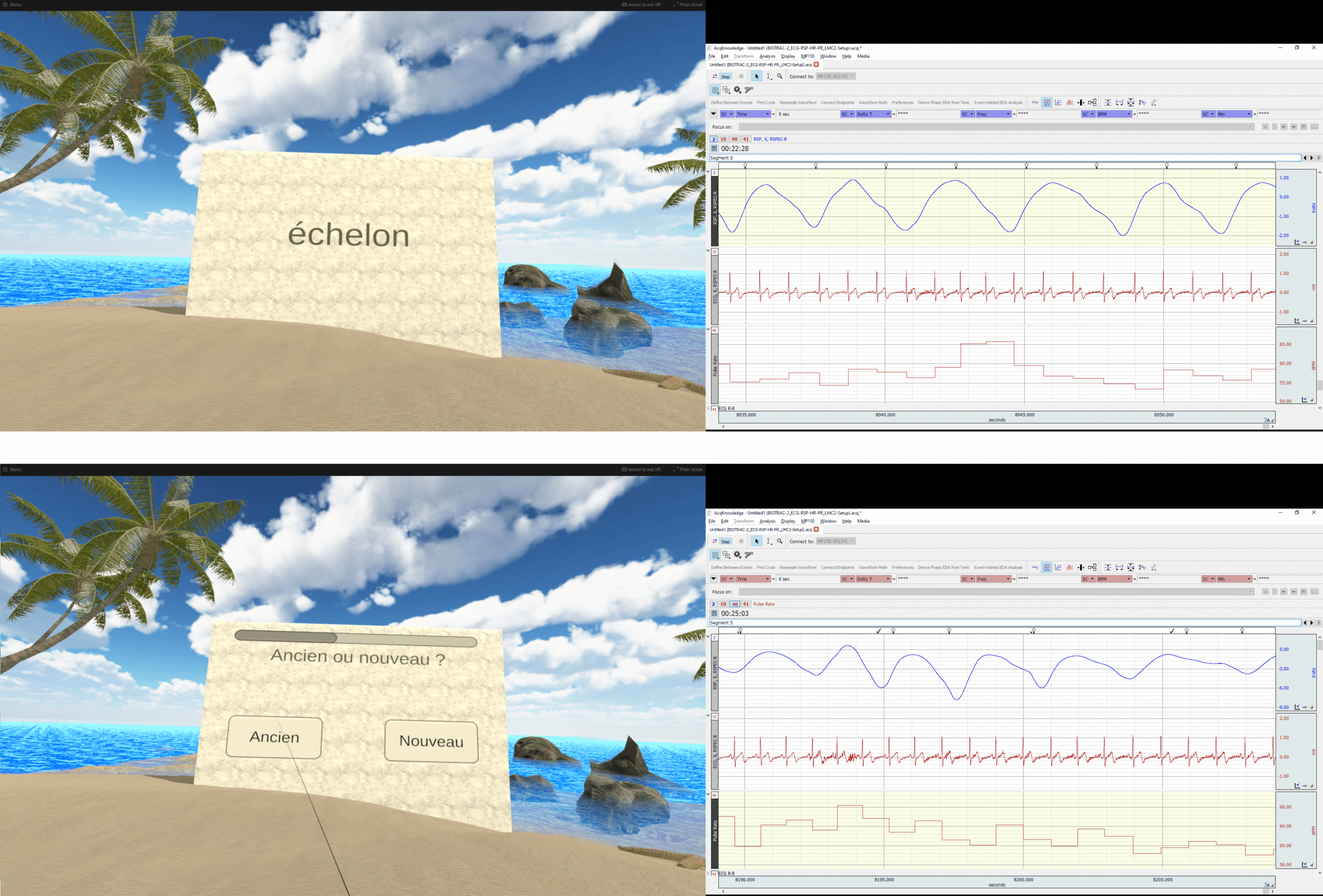 The image shows an example of the cognitive tests implemented in virtual reality that follwed HRV biofeedback. Cardiac and respiratory activity were recorded to determine the association of cognitive results with physiological processes during the task and how these measures are influenced by HRV biofeedback.